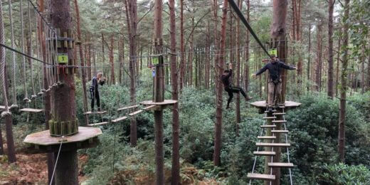 Go Ape treetops