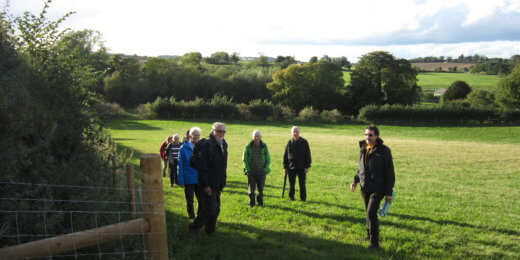 A group of six people, dressed for outdoor activity, walking along a path in a green, open field with trees and a cloudy sky in the background.