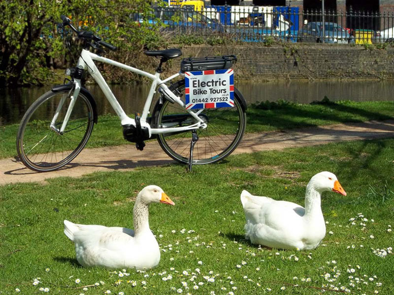 Electric bike tours