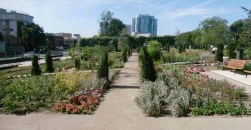 A landscaped garden features vibrant flowers and greenery, with a clear pathway dividing the space. In the background, a modern building contrasts against the natural setting under a bright blue sky.