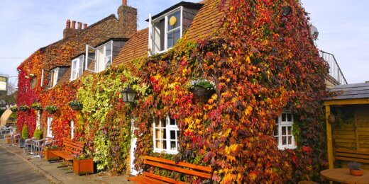 A charming cottage covered in vibrant autumn foliage, featuring colorful leaves in shades of red, orange, and green. The building has windows and a welcoming bench outside, with a clear blue sky overhead.