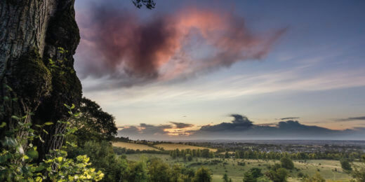 A serene landscape at sunset, featuring a lush green field with distant mountains under a colorful sky. A tree frames the left side of the image, contributing to the tranquil atmosphere.