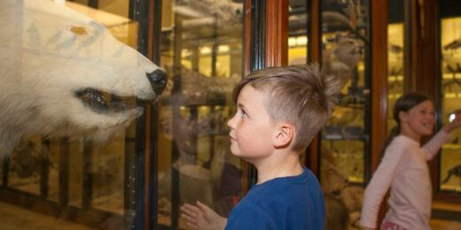 A boy gazes curiously at a polar bear exhibit in a museum, while a girl in the background playfully walks by. The setting features various animal displays, creating an engaging educational atmosphere.