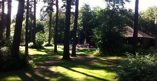 A serene outdoor scene featuring tall trees casting shadows on a grassy area. In the background, a wooden building is partially visible, surrounded by lush greenery. This tranquil setting suggests a peaceful natural environment.