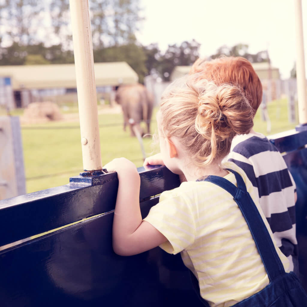 Two children are seated in a train, leaning forward and watching an elephant in a zoo. The girl has blonde hair in a bun, wearing a yellow shirt, while the boy has red hair, dressed in a striped shirt. The background shows a green, open area.