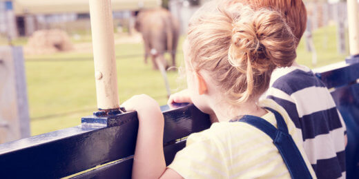 Two children are seated in a train, leaning forward and watching an elephant in a zoo. The girl has blonde hair in a bun, wearing a yellow shirt, while the boy has red hair, dressed in a striped shirt. The background shows a green, open area.