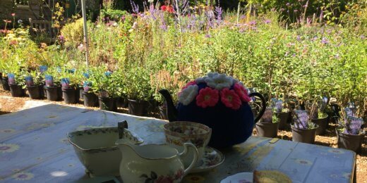 A serene outdoor setting featuring a table adorned with a teapot, cups, and a slice of cake, surrounded by lush greenery and blooming flowers. The peaceful garden atmosphere invites relaxation and enjoyment.