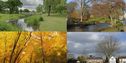A collage of four seasonal landscapes: a lush green park with a pond, a vibrant autumn forest path, a serene scene with trees and a stream, and a quiet neighborhood under a cloudy sky.