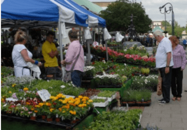 A bustling outdoor market with colorful flower stalls under blue tents. Shoppers engage with vendors while browsing a variety of plants and flowers, creating a vibrant and lively atmosphere.